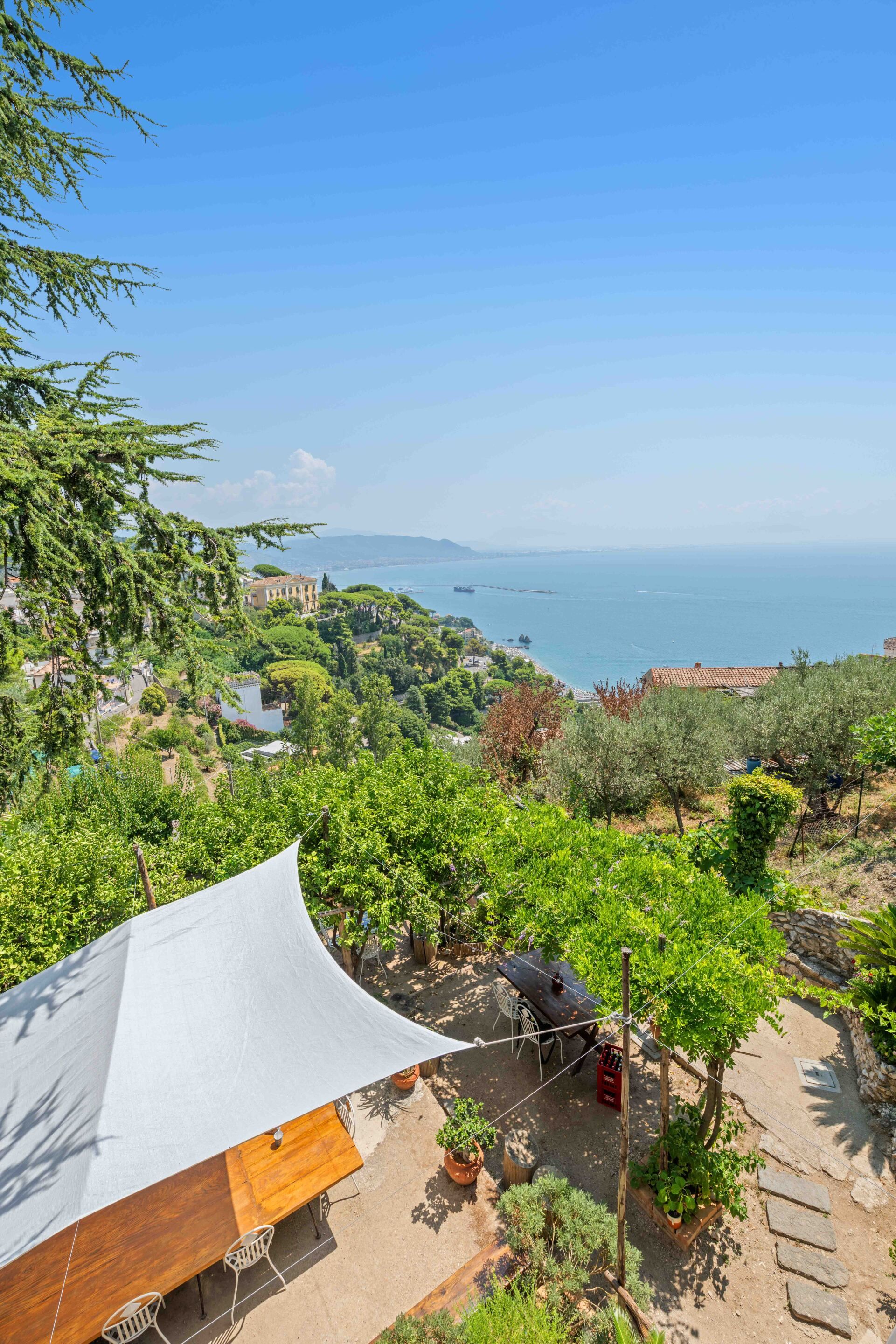 Un vigneto con tavolo e sedie sotto una tettoia bianca, affacciato su un paesaggio costiero con edifici e il mare.
