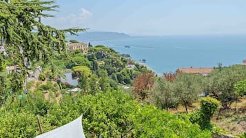 Un vigneto con tavolo e sedie sotto una tettoia bianca, affacciato su un paesaggio costiero con edifici e il mare.