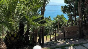 A view of a coastal area with palm trees and a wooden fence.