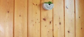 Cozy little cottage in the heart of the Gem City