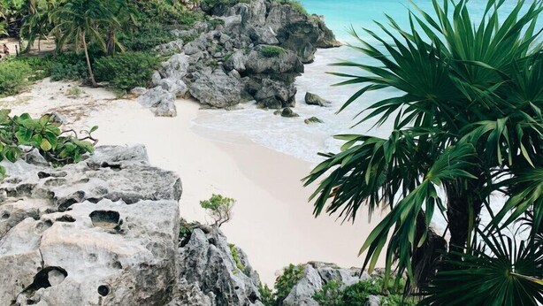 A beach with clear turquoise water, rocky formations, and lush greenery. - Seaside Penthouse! Rooftop Jacuzzi & Ocean Views! (Tulum Municipality)