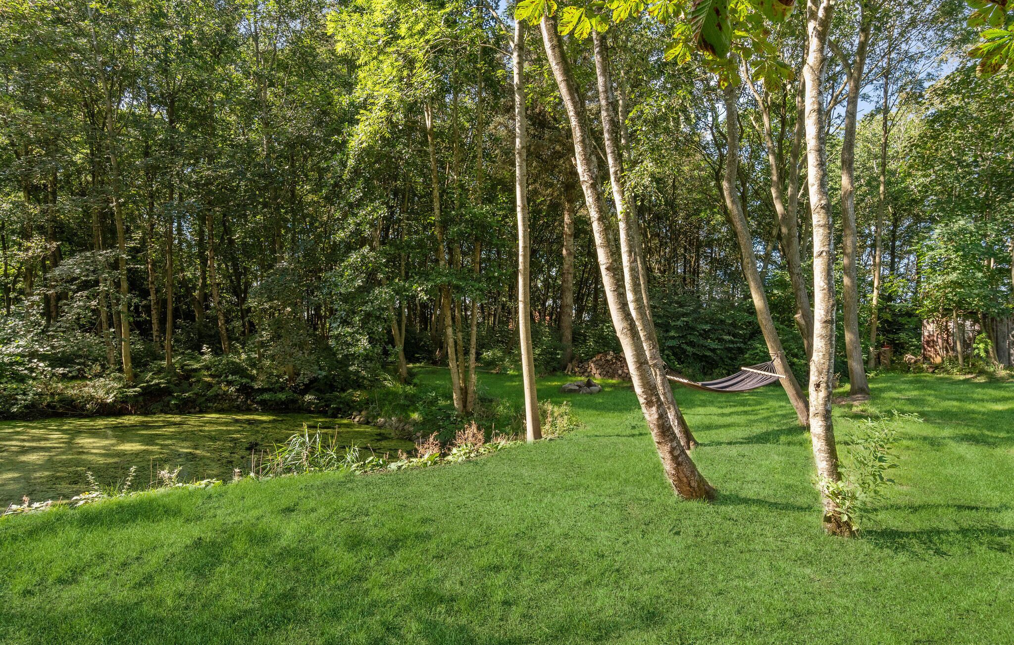 Un paisaje verde exuberante con árboles altos y una zona cubierta de césped.