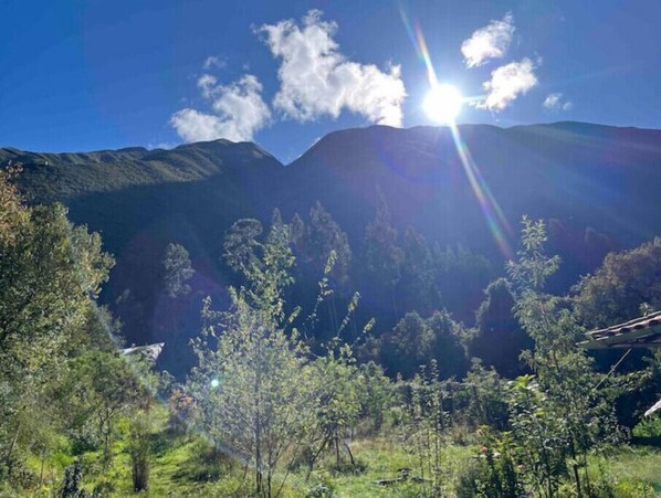 Terrain de l’hébergement 