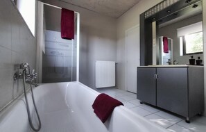 Combined shower/tub, hair dryer
