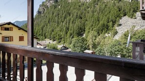 Unclassified image, 5 of 42, button - Bright apartment in the town center with ski storage and communal parking. (Paquier)