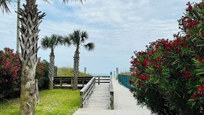 Un chemin en béton menant à une plage, bordé de palmiers et d’arbustes à fleurs rouges.