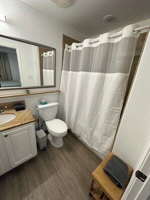 Jetted bath, hair dryer, bidet, towels