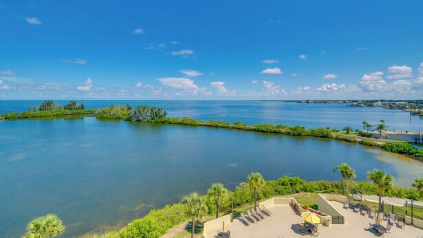 A waterfront view with a patio area, palm trees, and a clear blue sky.
