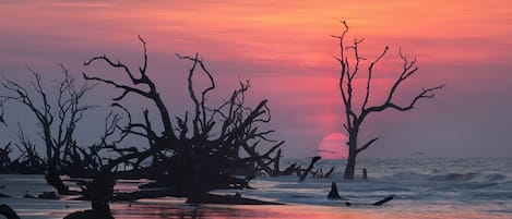 海灘
