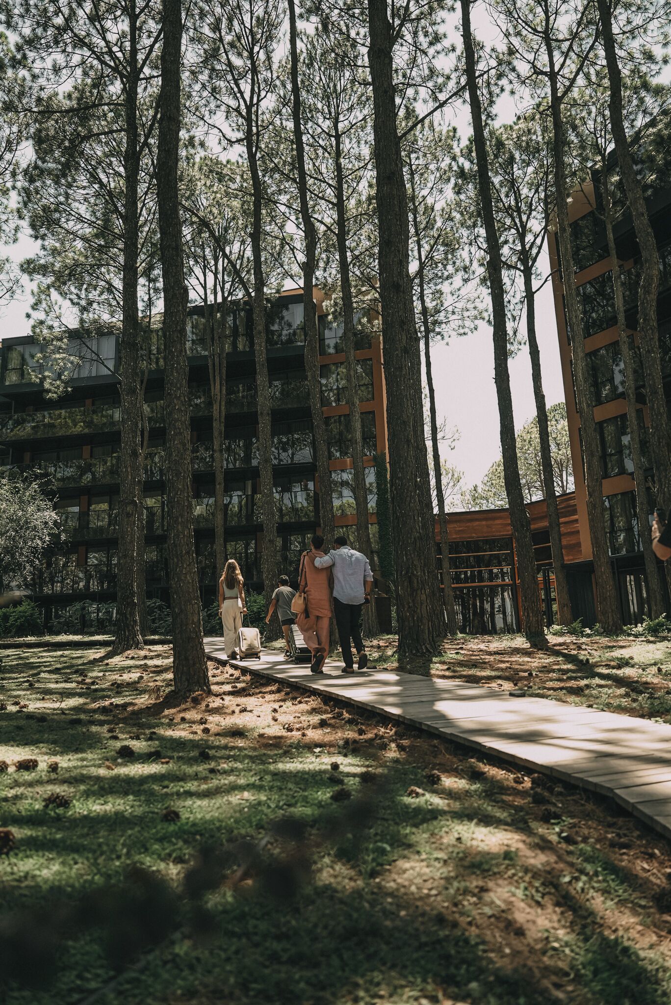 Un sendero flanqueado por altos árboles que conduce a un edificio moderno de varios pisos.