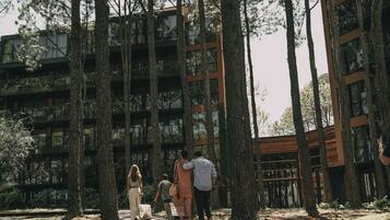 Un sendero flanqueado por altos árboles que conduce a un edificio moderno de varios pisos.