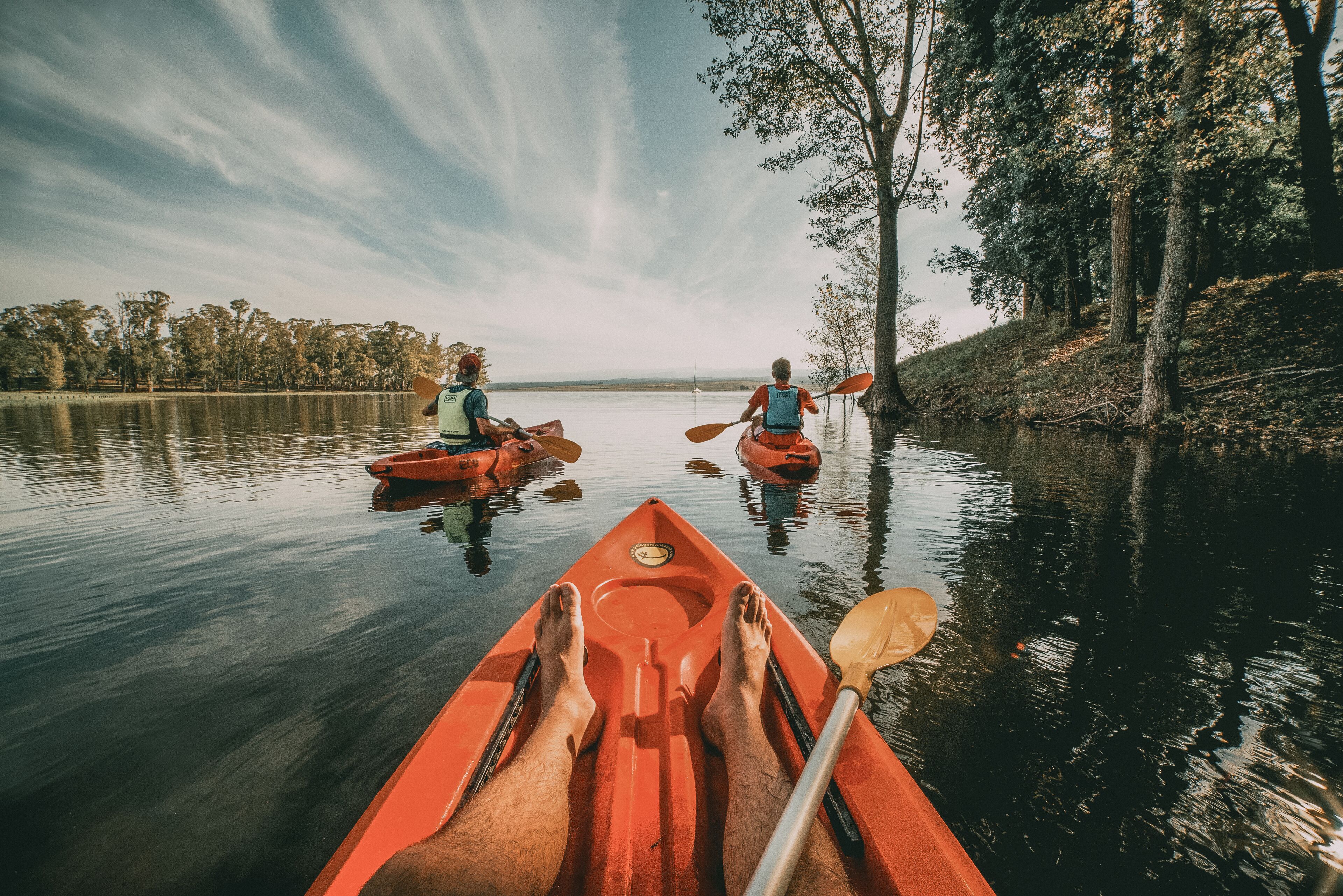 Dos kayaks en un lago tranquilo bordeado de árboles.