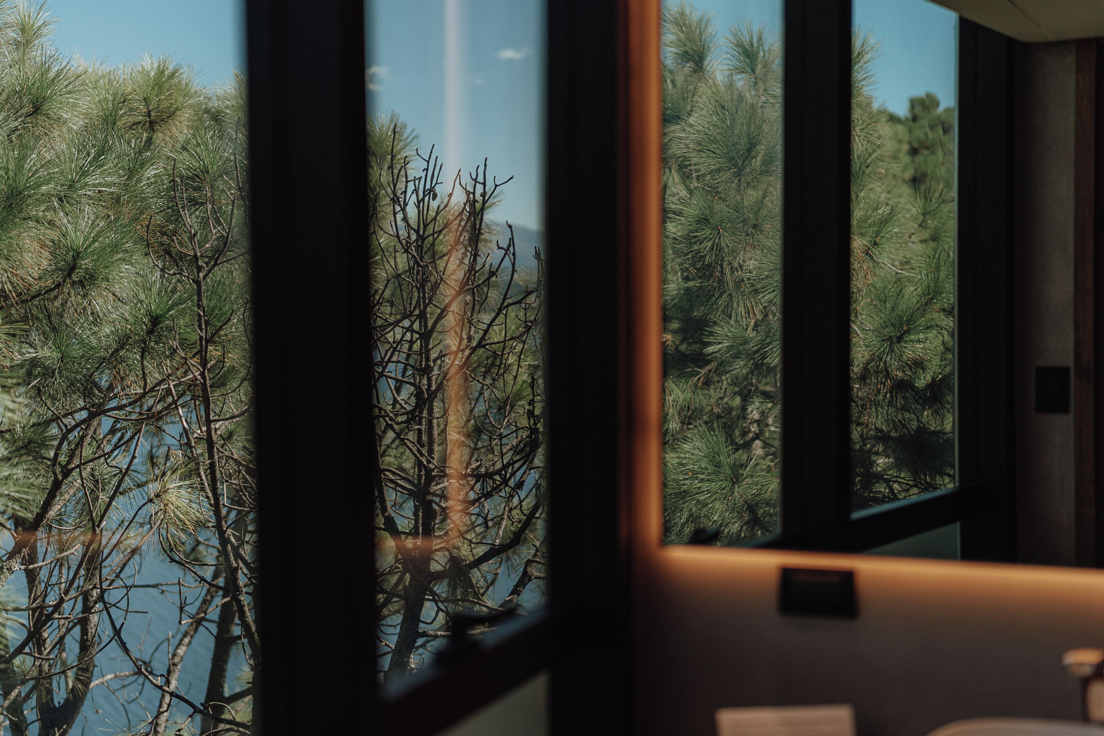 A view through a window of a room with a view of trees and a clear sky.