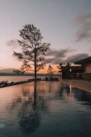 Un área de piscina tranquila con un árbol grande, sillas de descanso y un edificio de diseño moderno.