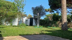 Ein Garten mit einer gefliesten Terrasse, einem großen Baum und einem weißen Gebäude mit einer schwarzen Tür.