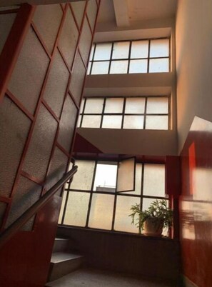 Staircase leads to an upper level with large windows and a potted plant on the landing.
