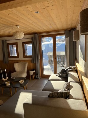 TV connectée, cheminée, livres, chaîne hi-fi