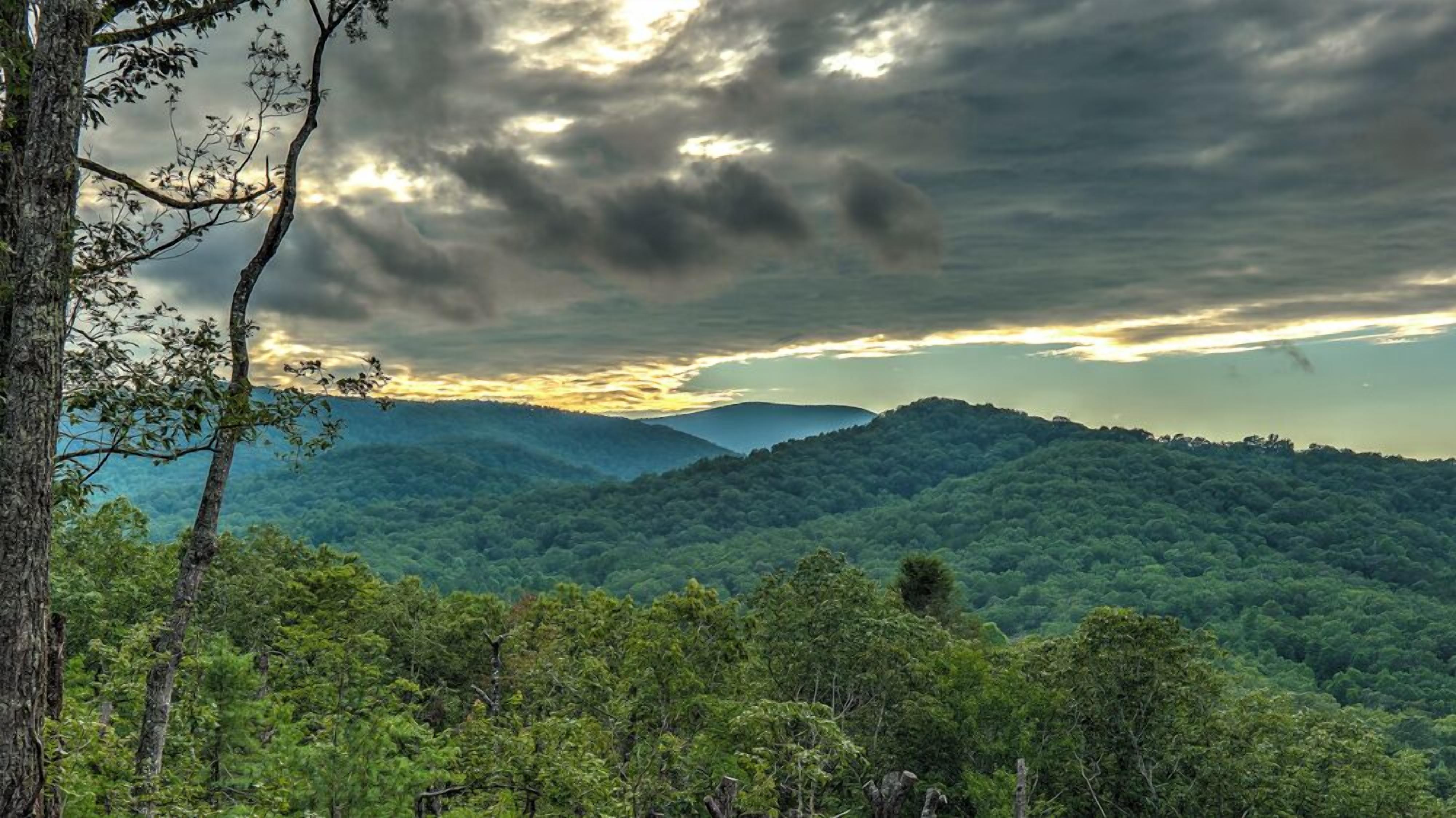 A forested landscape with a view of rolling hills and a cloudy sky.