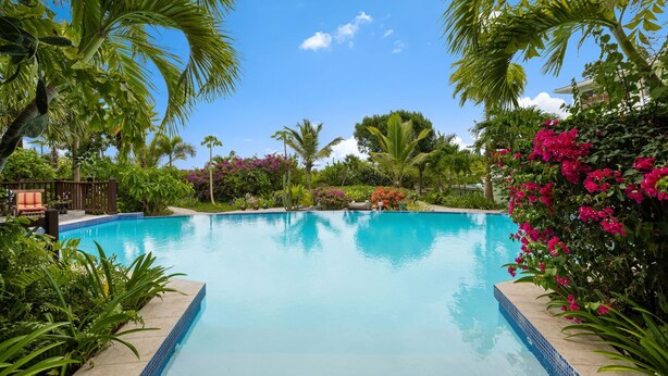 Una piscina azul cristalina rodeada de exuberante vegetación y plantas tropicales.