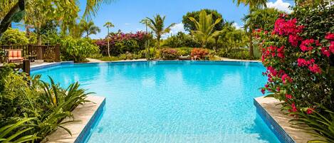 A clear blue pool surrounded by tropical plants and a wooden deck.