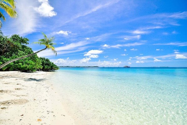 Playa