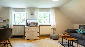Fernseher, Stereoanlage