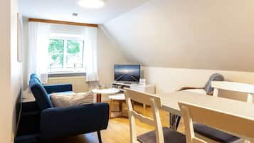 Fernseher, Stereoanlage