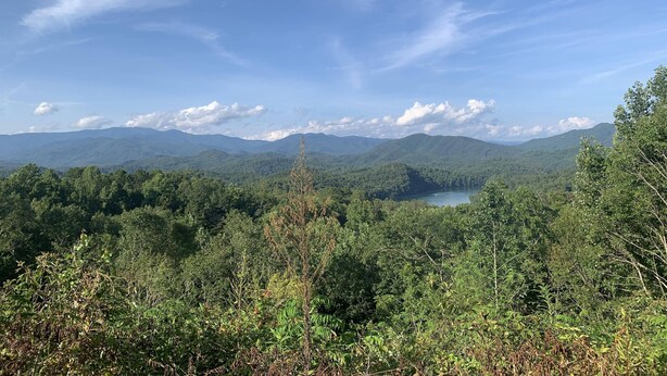 Un paisaje montañoso con un bosque denso y un lago.