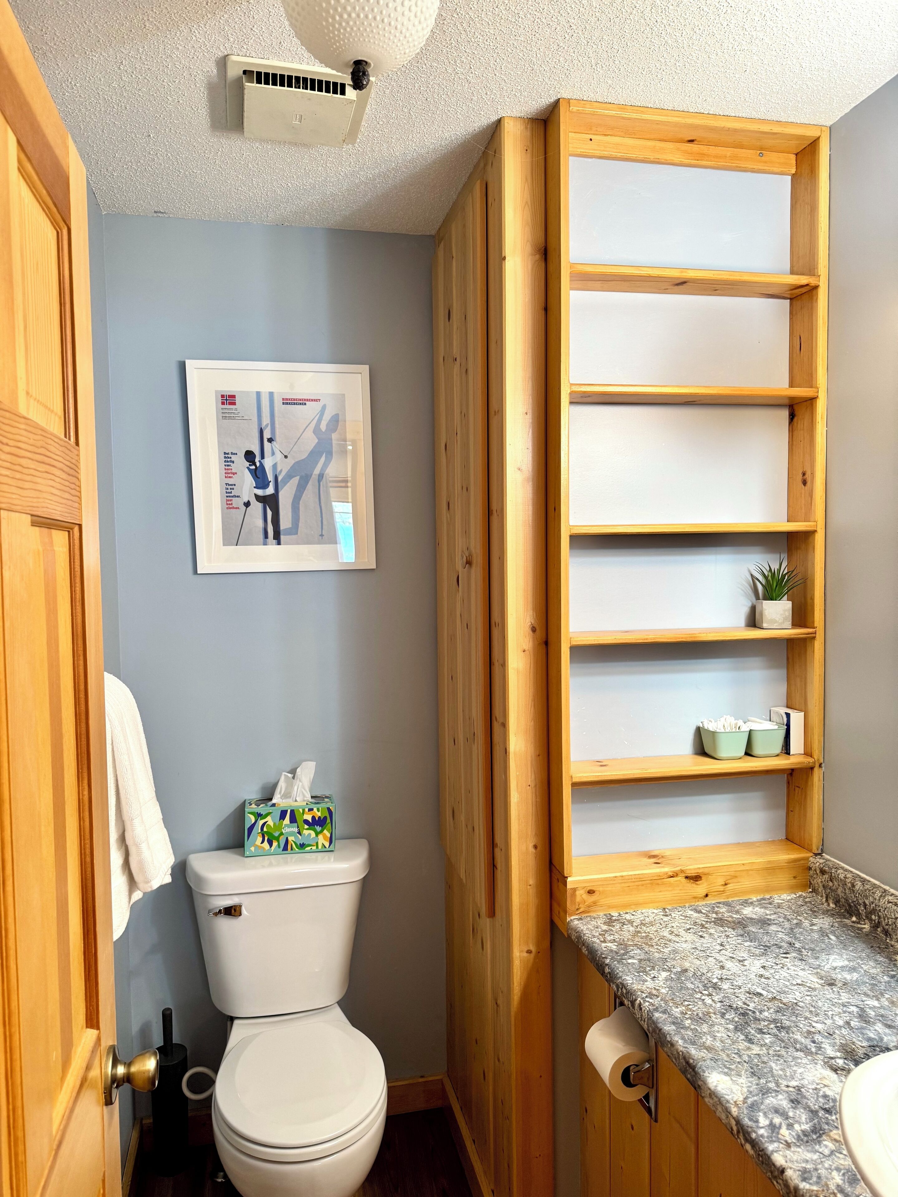 Une salle de bain avec des toilettes, une serviette accrochée à la porte, un tableau encadré au mur et une étagère en bois sur laquelle est posée une plante.