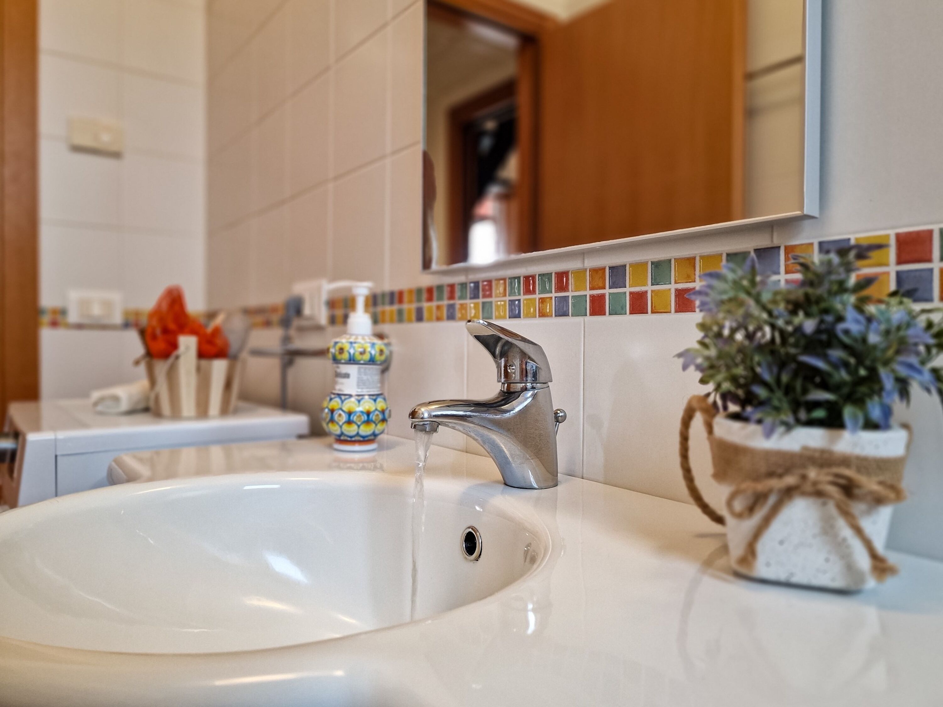 Un baño con un lavabo blanco, un grifo cromado, un dispensador de jabón de colores y una planta en maceta.