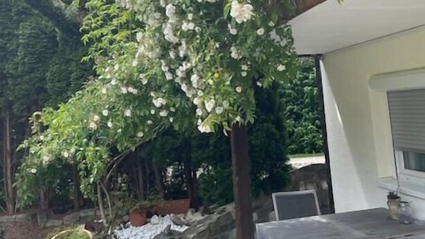 A patio area with a table and chairs, a stone wall, and a flowering tree. - Ferienwohnung bis 3 Personen, auf 2 Ebenen, 80 qm, Balkon und Terrasse (Taching am See)