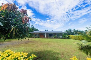 A house with a lawn and tropical plants.