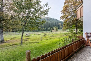 A view of a grassy field with trees and a wooden fence.