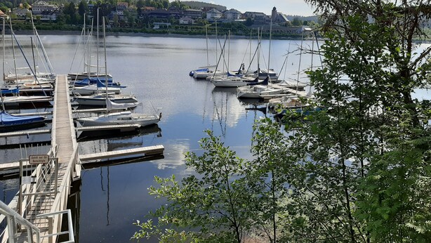 A marina with boats docked, a wooden pier, and a backdrop of houses and trees.