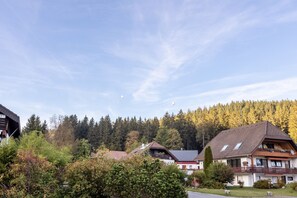 Exterior - Holiday Apartment "Ruheoase" with Private Terrace and Wi-Fi (Schluchsee-Blasiwald)