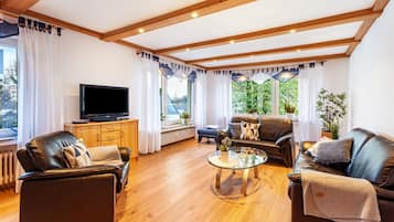 Fernseher, Stereoanlage