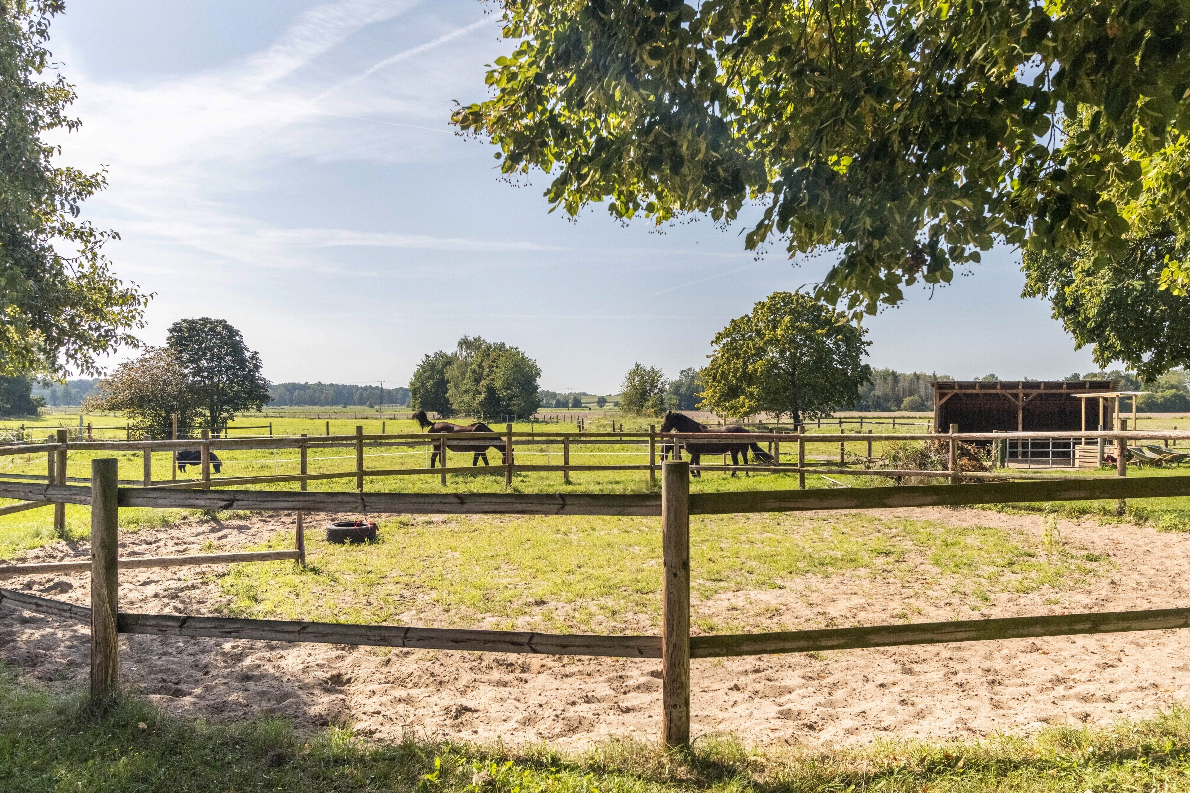 A fenced pasture with horses, a wooden fence, and a barn.