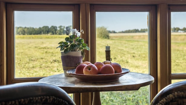 Une table avec un saladier de fruits et une plante en pot, près d’une fenêtre donnant sur un champ.