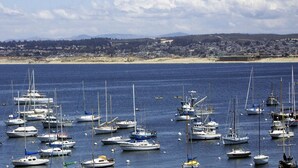 Un port de plaisance où sont amarrés de nombreux voiliers.