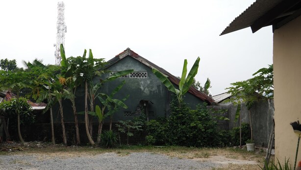 A house with a sloped roof, surrounded by banana trees and potted plants. - Hotel O Penginapan Raja (Sukabumi)