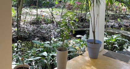 Casa Fresca a 50 Metros de Parque Nacional Tortuguero, Rodeada de Biodiversidad
