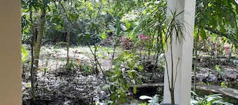Casa Fresca a 50 Metros de Parque Nacional Tortuguero, Rodeada de Biodiversidad