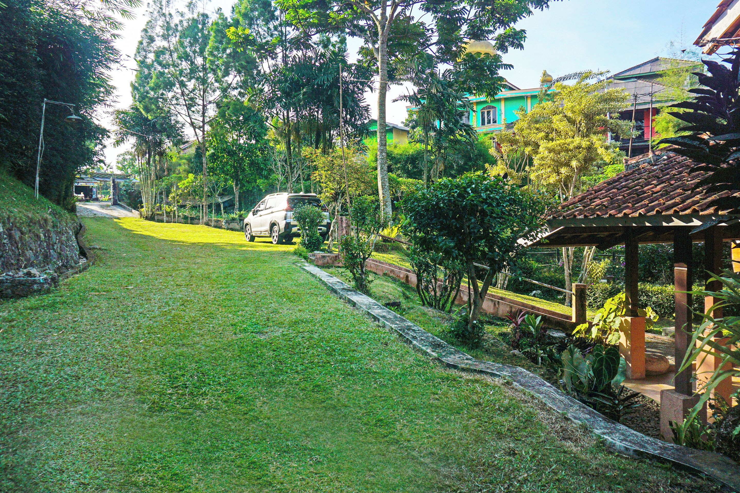 Taman