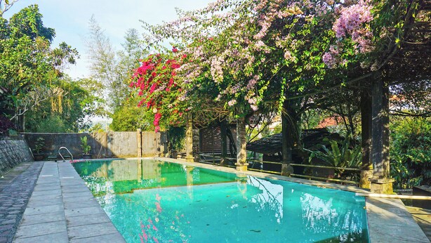 A rectangular swimming pool with clear water, surrounded by a stone deck and a pergola with flowering vines. - Capital O 92836 Villa Kampoeng Katineung (Cipanas)