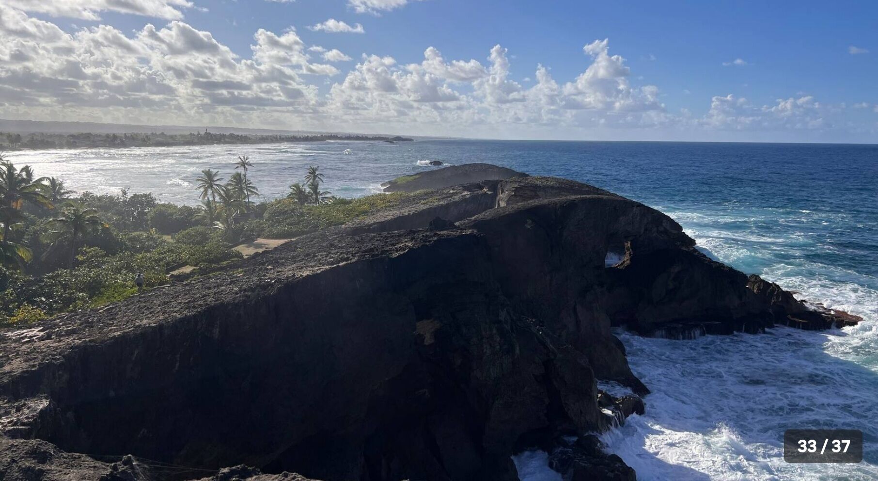 Un paysage côtier caractérisé par des falaises rocheuses, des palmiers et l’océan.