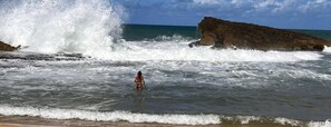 Beach - Renovated 3 bedroom 2 bathroom just 2 blocks to beautiful  beaches ! (Arecibo)