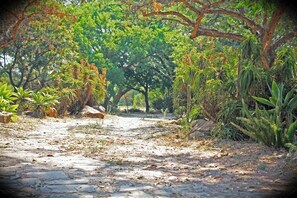 Front of property - 161 Blenheim Rd (Chartwell)