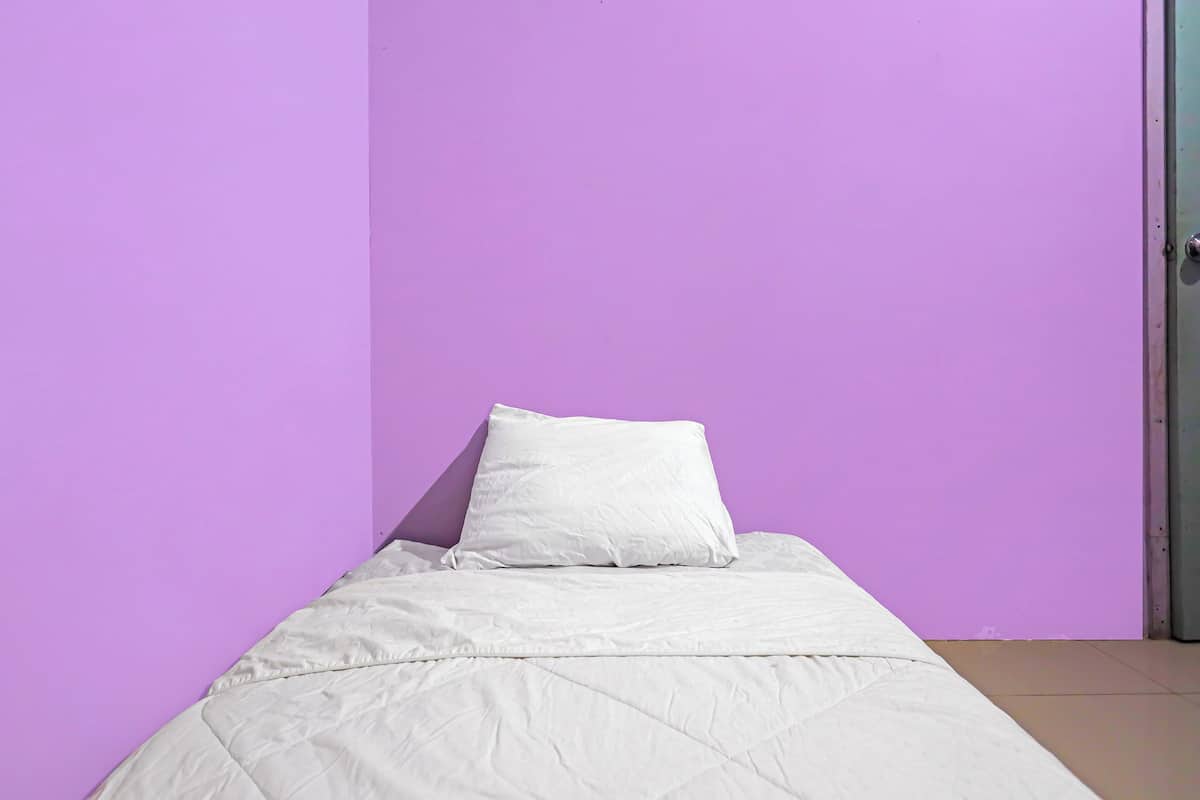 A single bed with a white mattress and pillow against a purple wall.