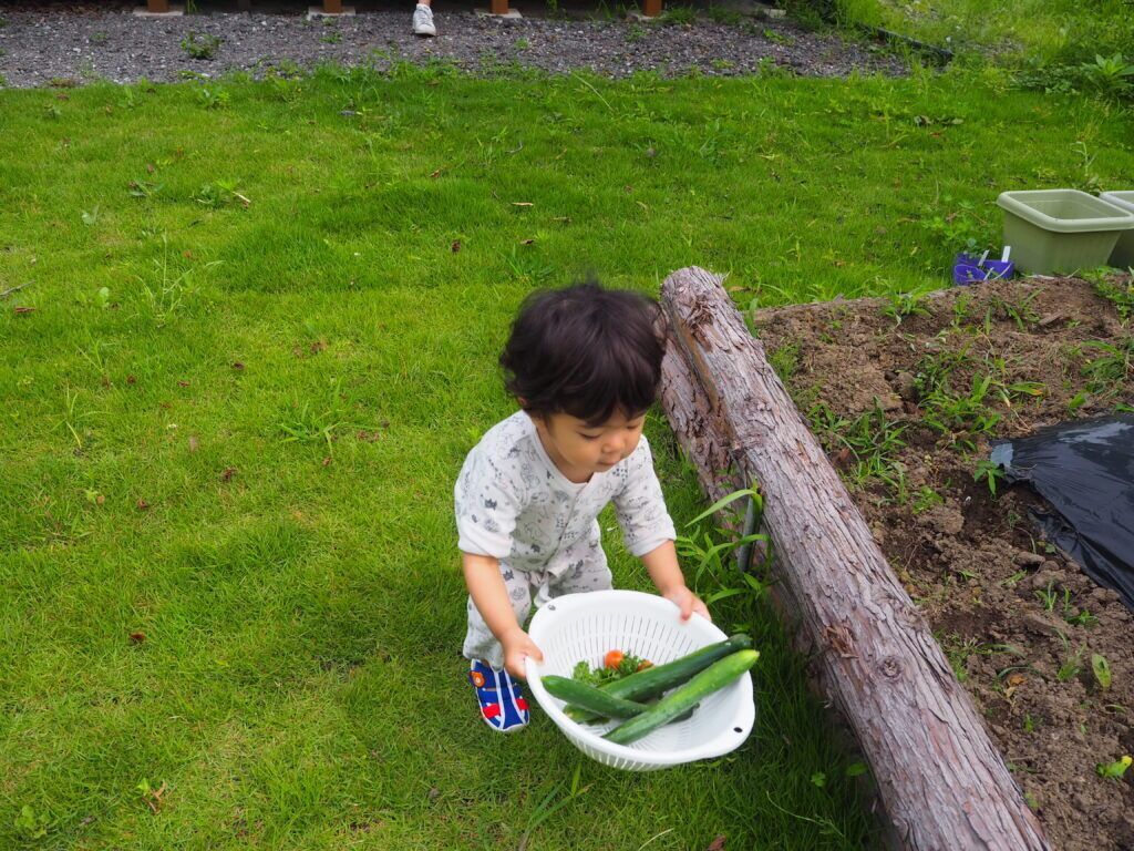A child holding a white basket with vegetables near a wooden log in a grassy area.