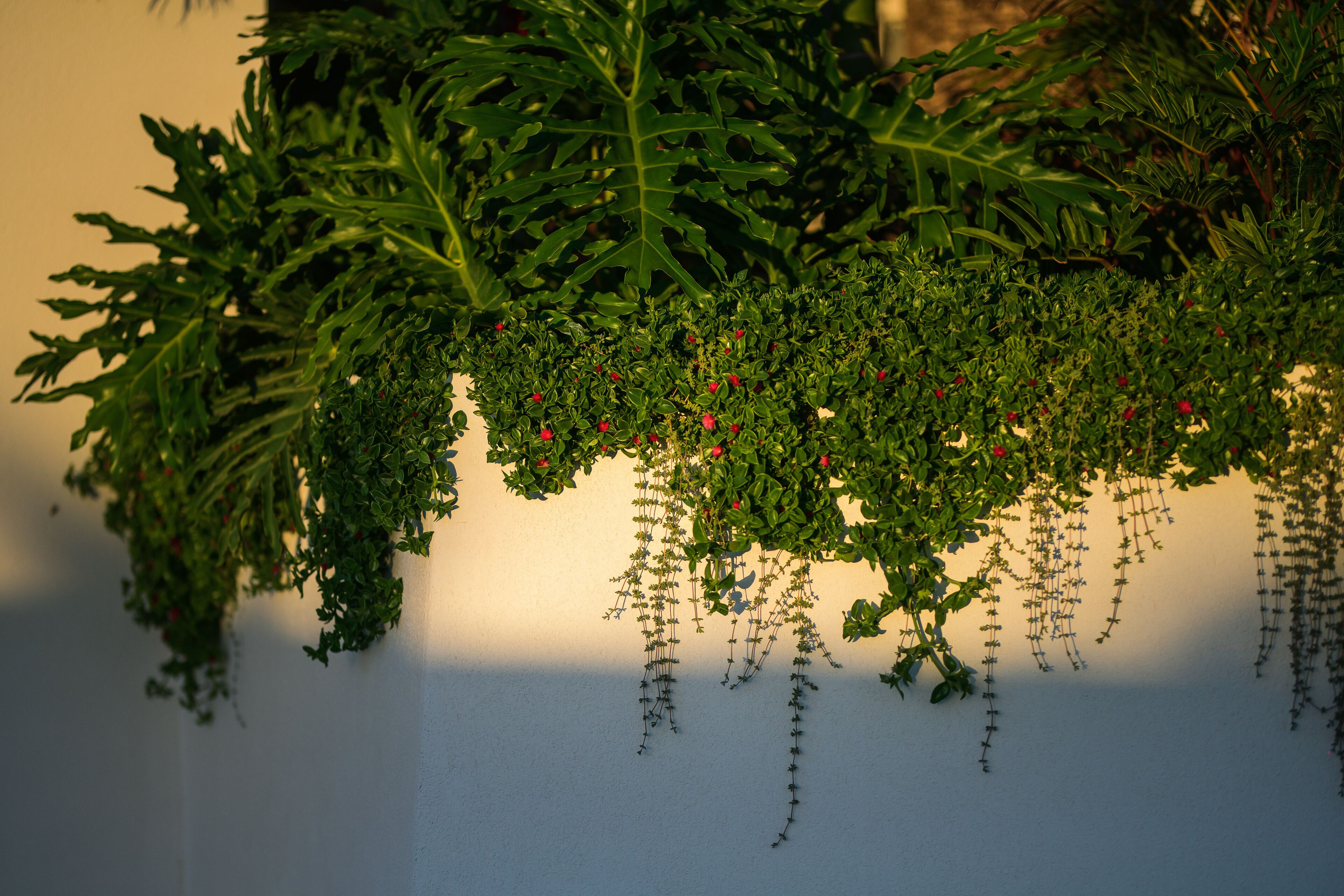 Foto - Hotel Estefania Boutique Suites